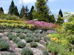 gardenmuseum (3).jpg